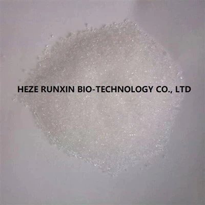 Quels sont les avantages du biocide OIT par rapport aux autres biocides ?